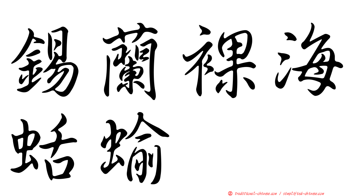 錫蘭裸海蛞蝓