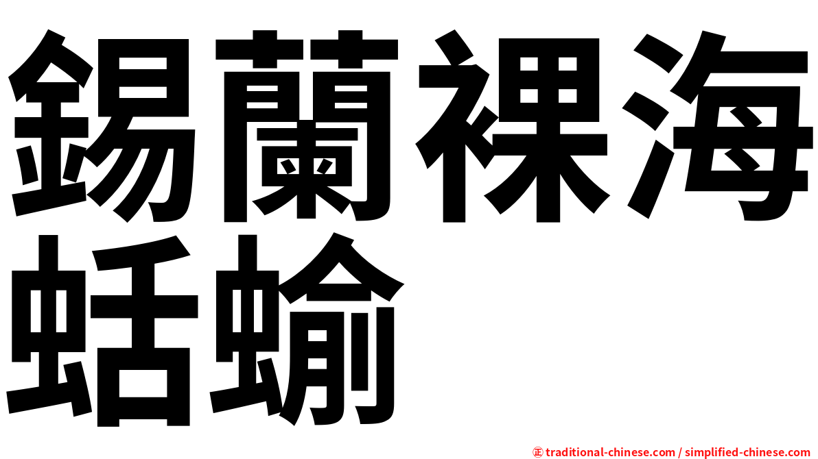 錫蘭裸海蛞蝓