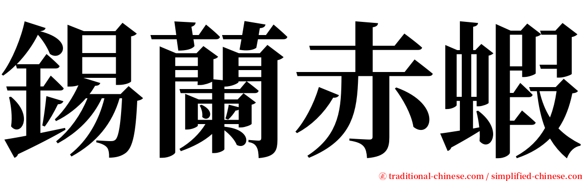 錫蘭赤蝦 serif font