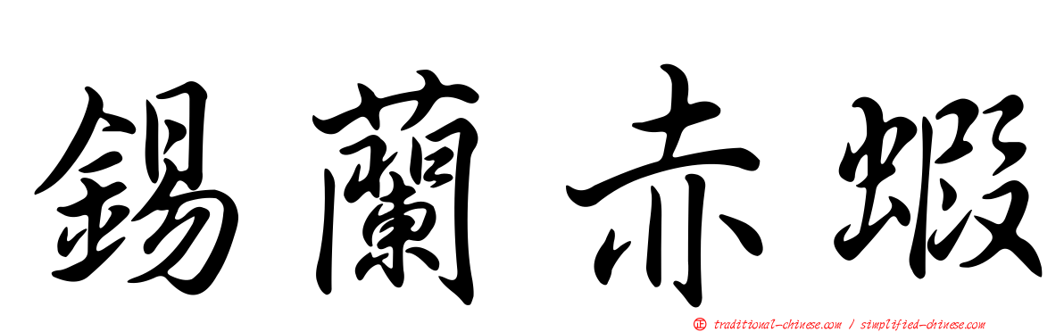 錫蘭赤蝦