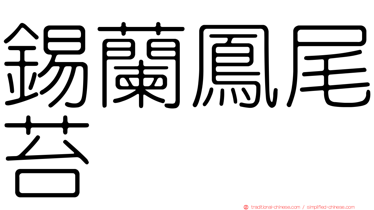 錫蘭鳳尾苔