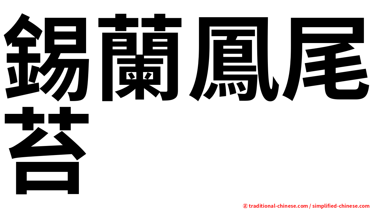 錫蘭鳳尾苔