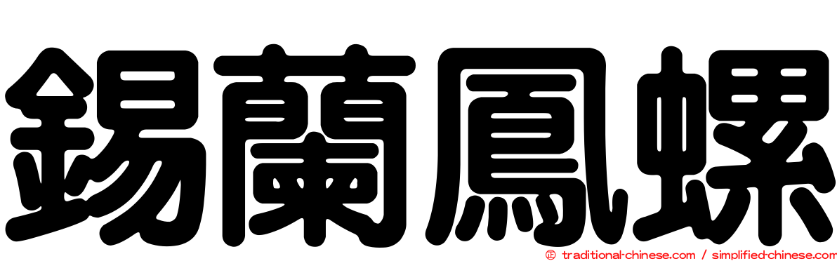 錫蘭鳳螺