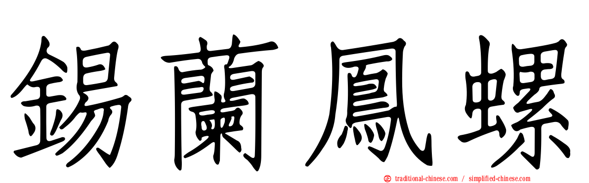 錫蘭鳳螺
