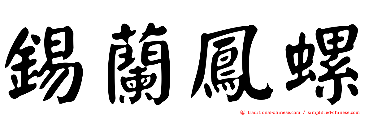 錫蘭鳳螺