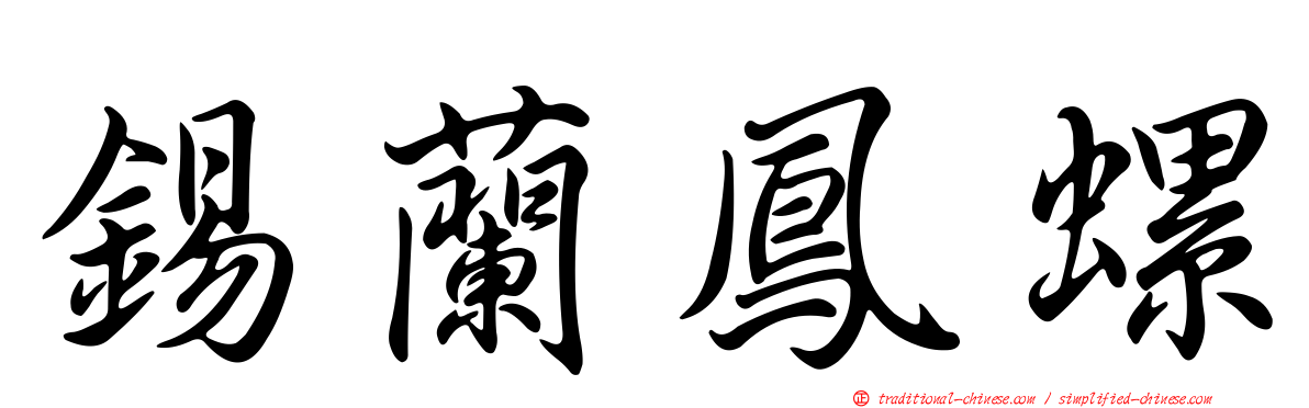 錫蘭鳳螺