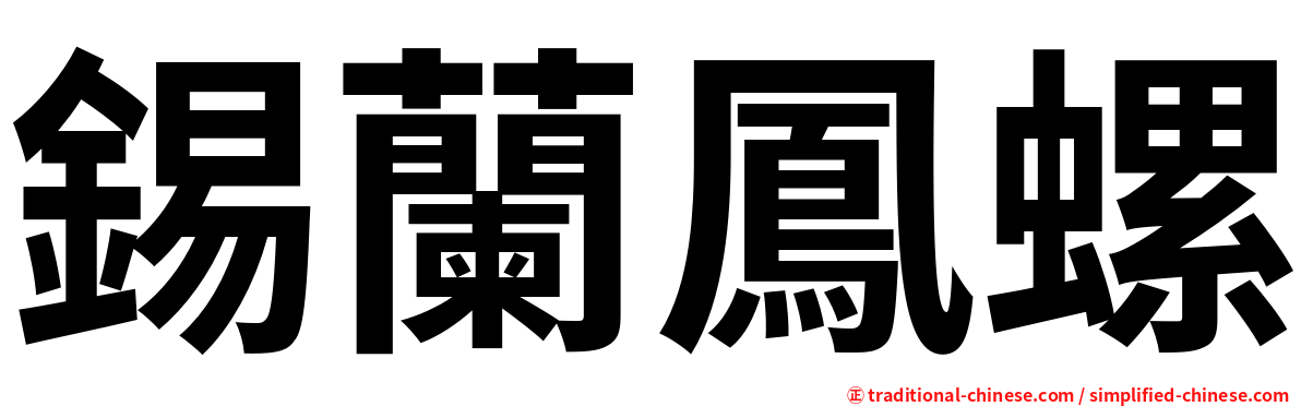 錫蘭鳳螺