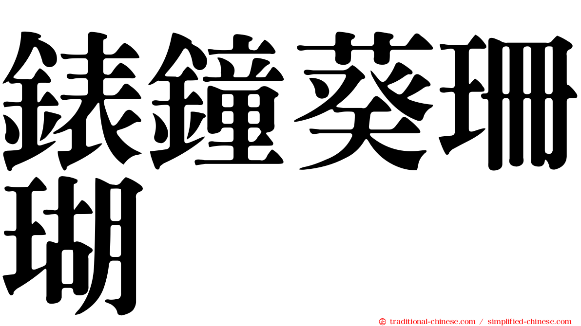 錶鐘葵珊瑚