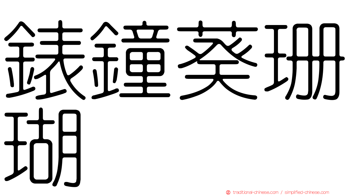 錶鐘葵珊瑚