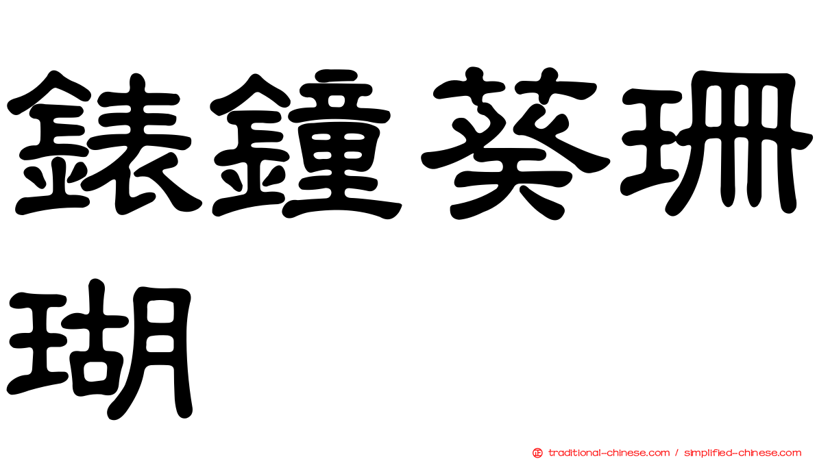 錶鐘葵珊瑚