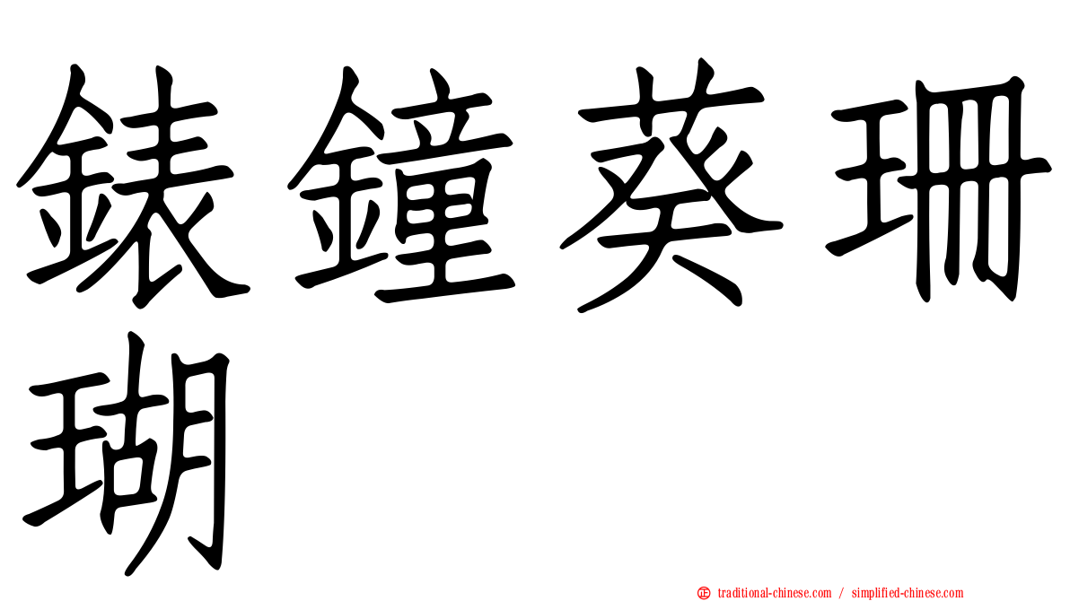 錶鐘葵珊瑚