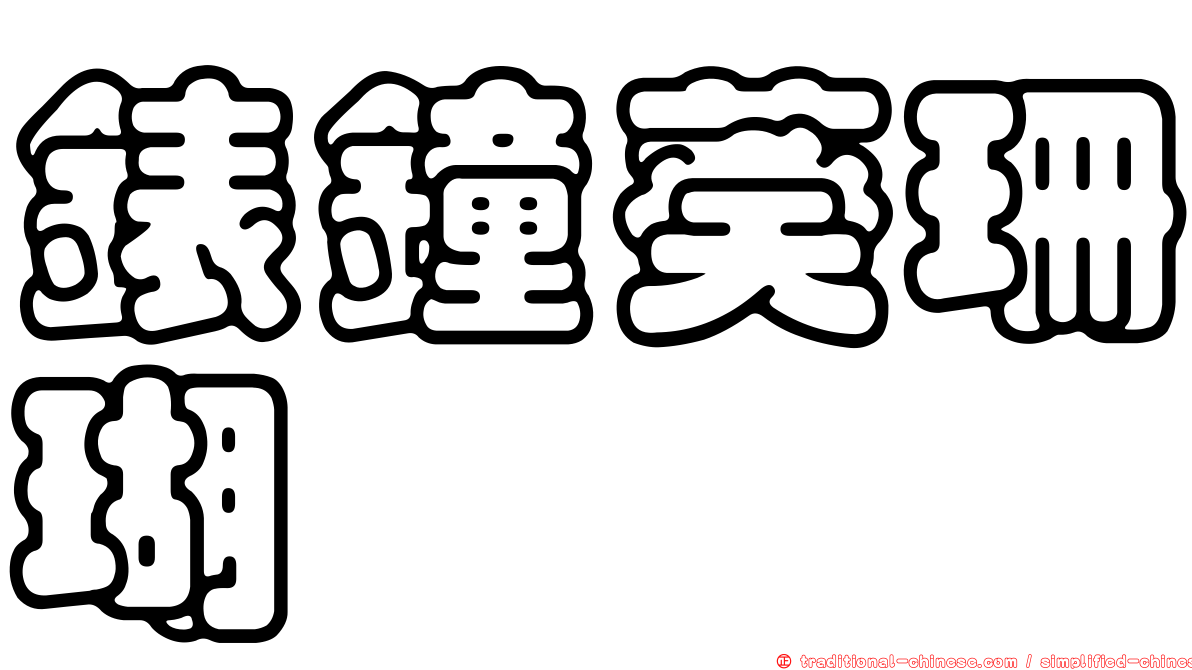 錶鐘葵珊瑚