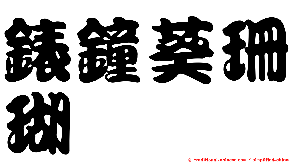 錶鐘葵珊瑚