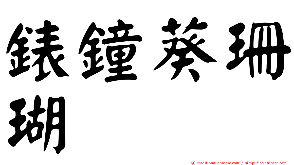 錶鐘葵珊瑚