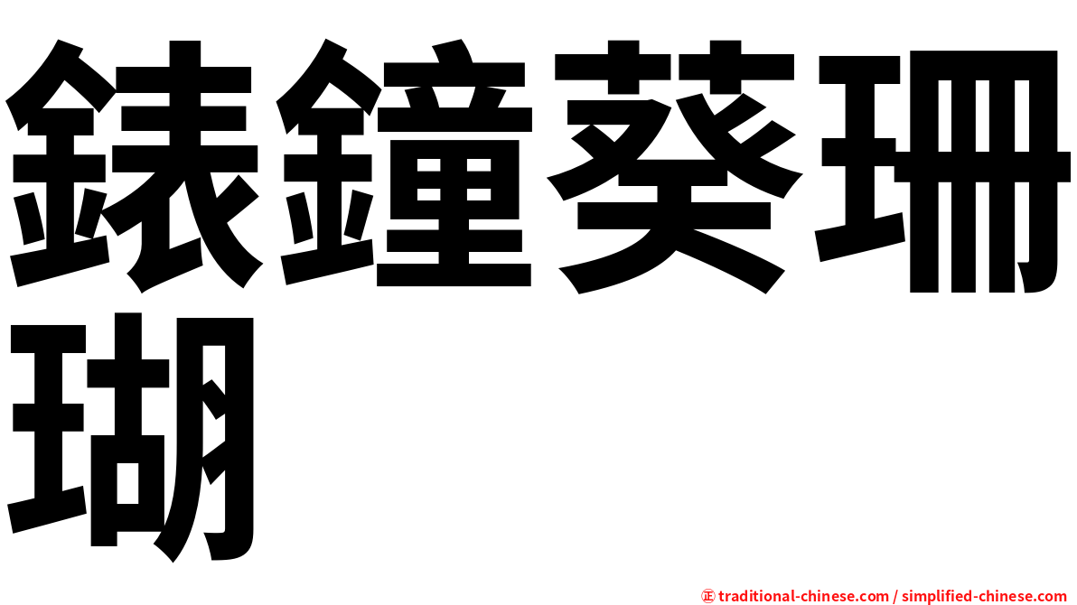 錶鐘葵珊瑚