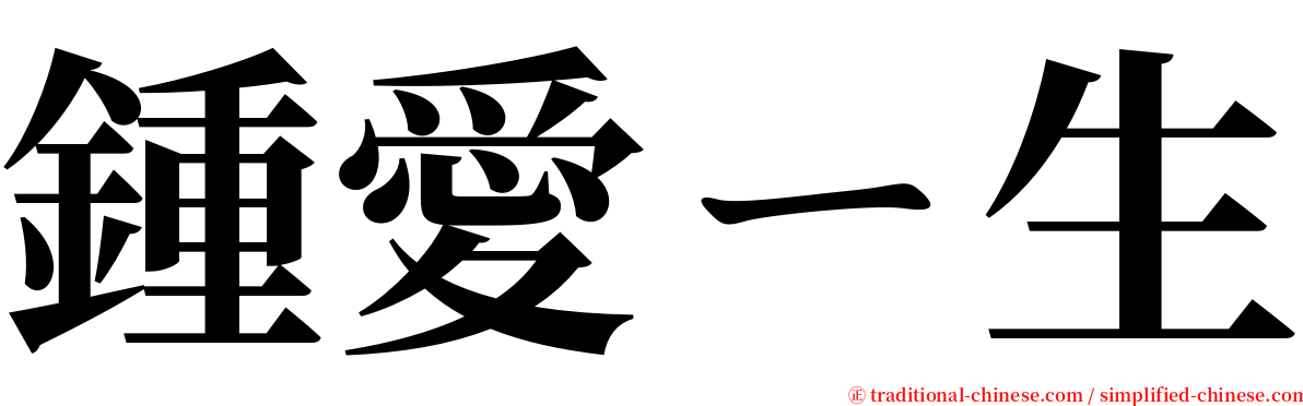 鍾愛ㄧ生 serif font