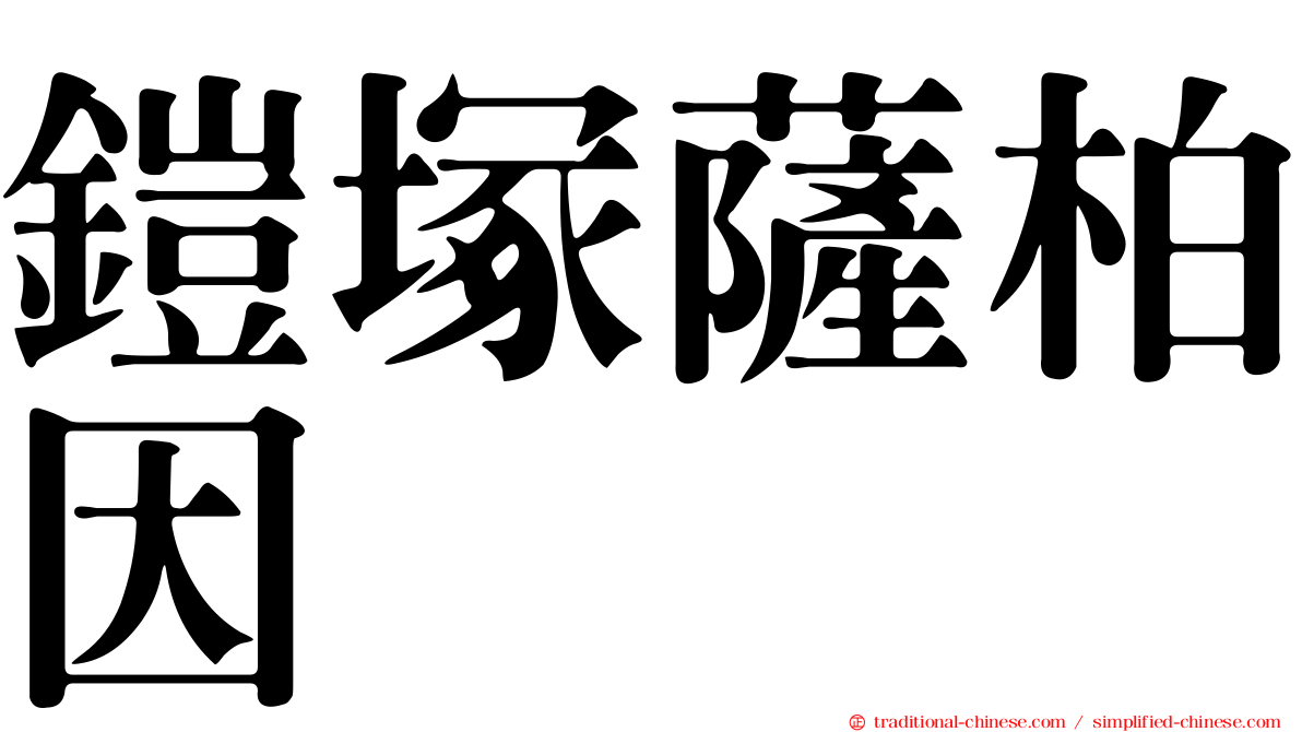 鎧塚薩柏因