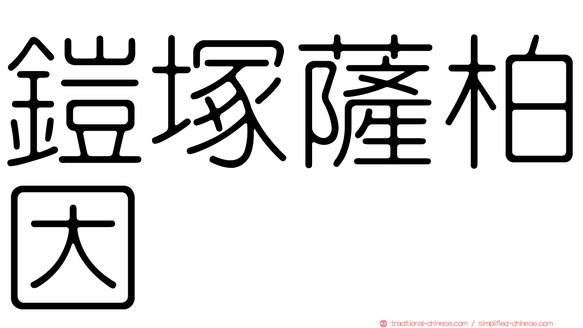 鎧塚薩柏因