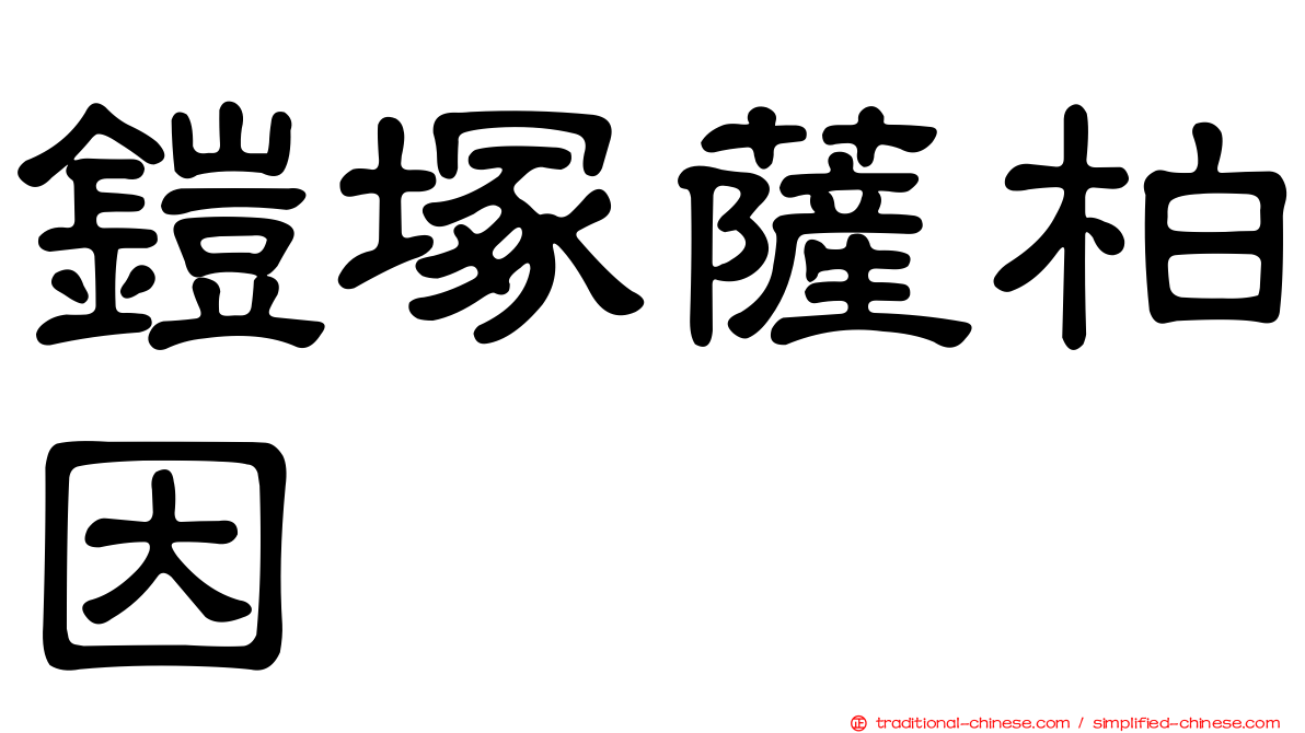 鎧塚薩柏因