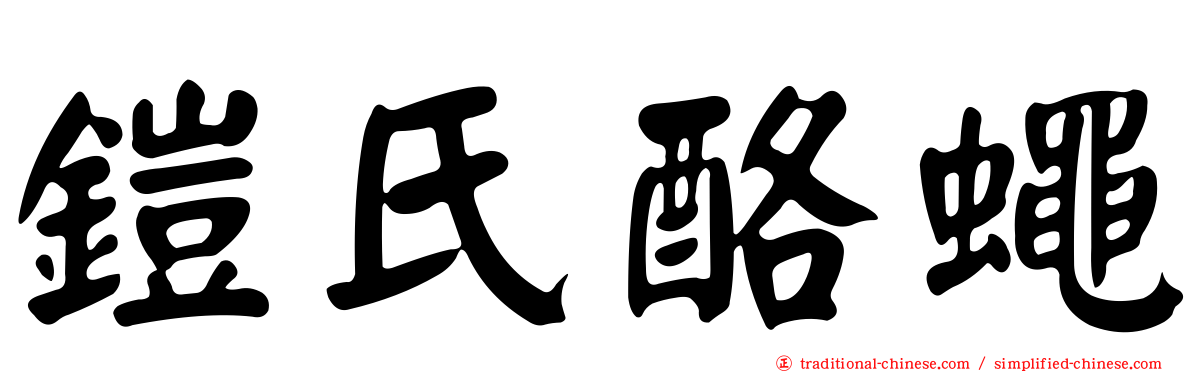 鎧氏酪蠅