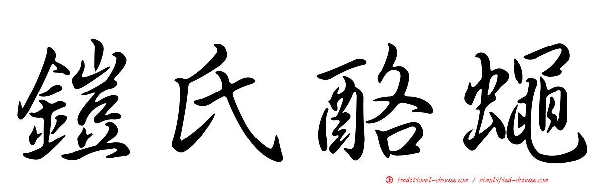 鎧氏酪蠅