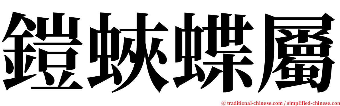 鎧蛺蝶屬 serif font