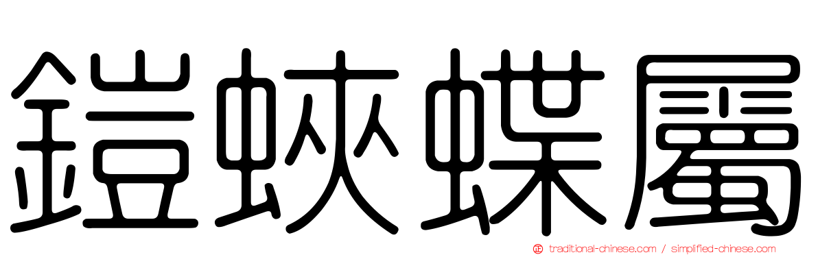 鎧蛺蝶屬