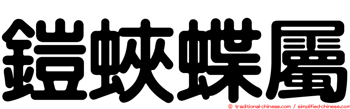 鎧蛺蝶屬
