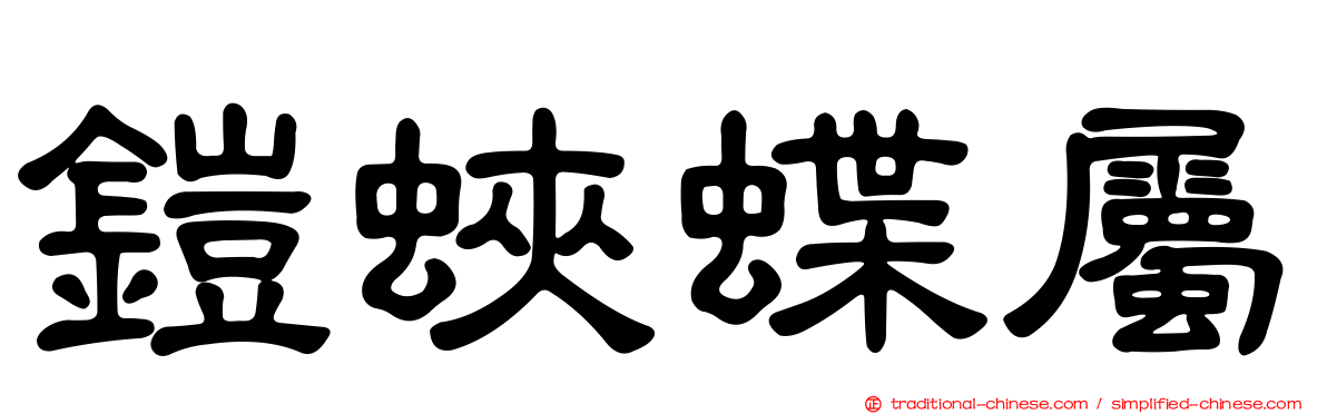 鎧蛺蝶屬