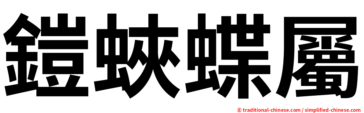 鎧蛺蝶屬
