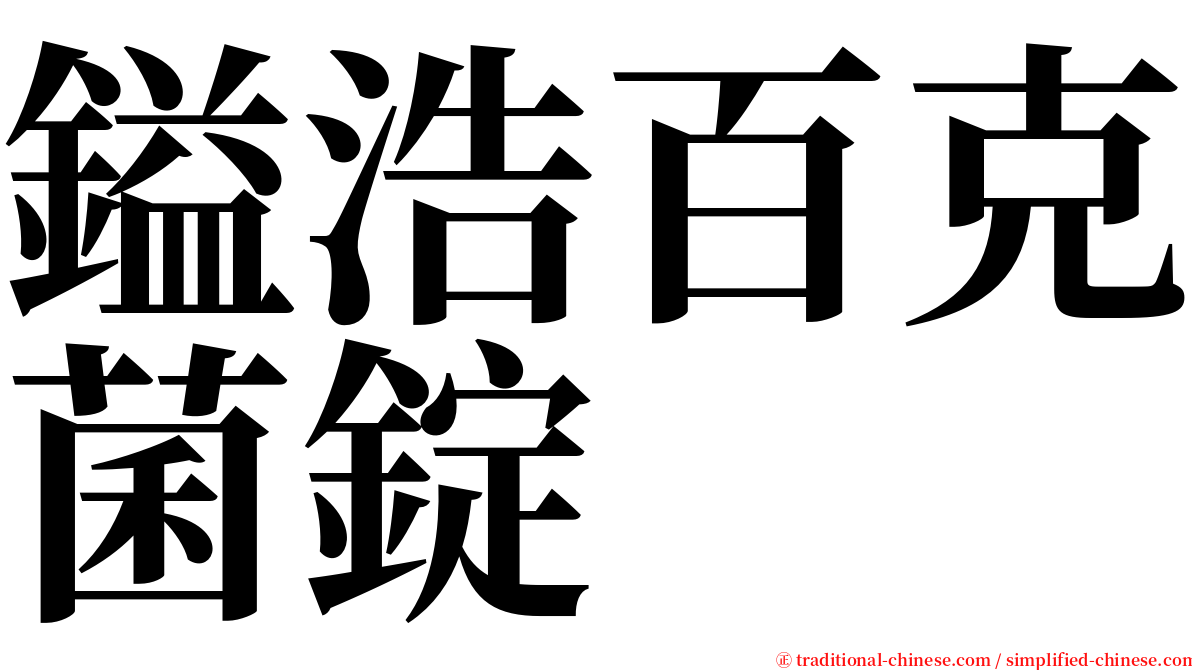 鎰浩百克菌錠 serif font