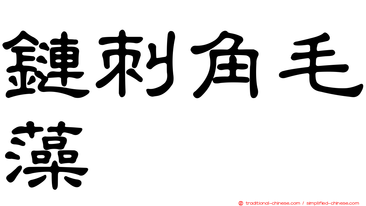 鏈刺角毛藻