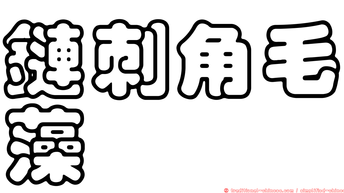 鏈刺角毛藻