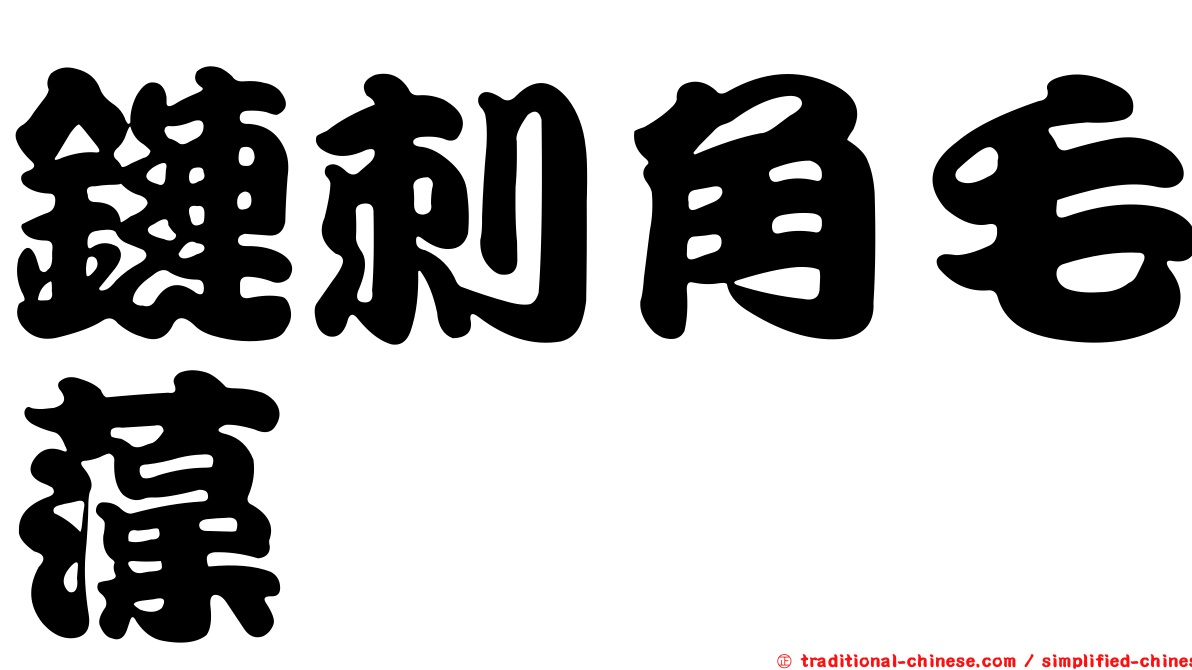 鏈刺角毛藻