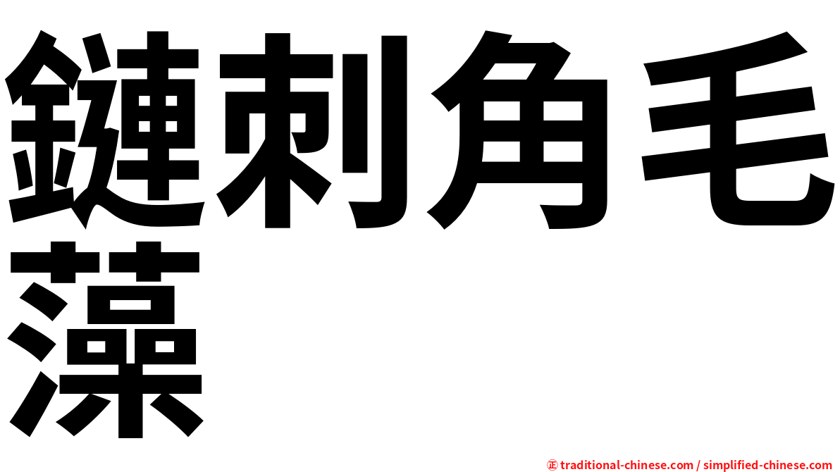 鏈刺角毛藻