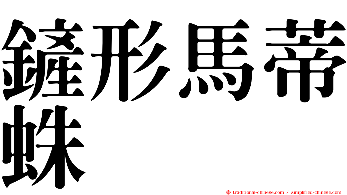鏟形馬蒂蛛