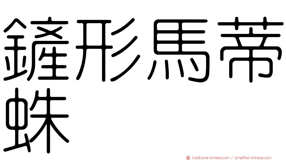 鏟形馬蒂蛛