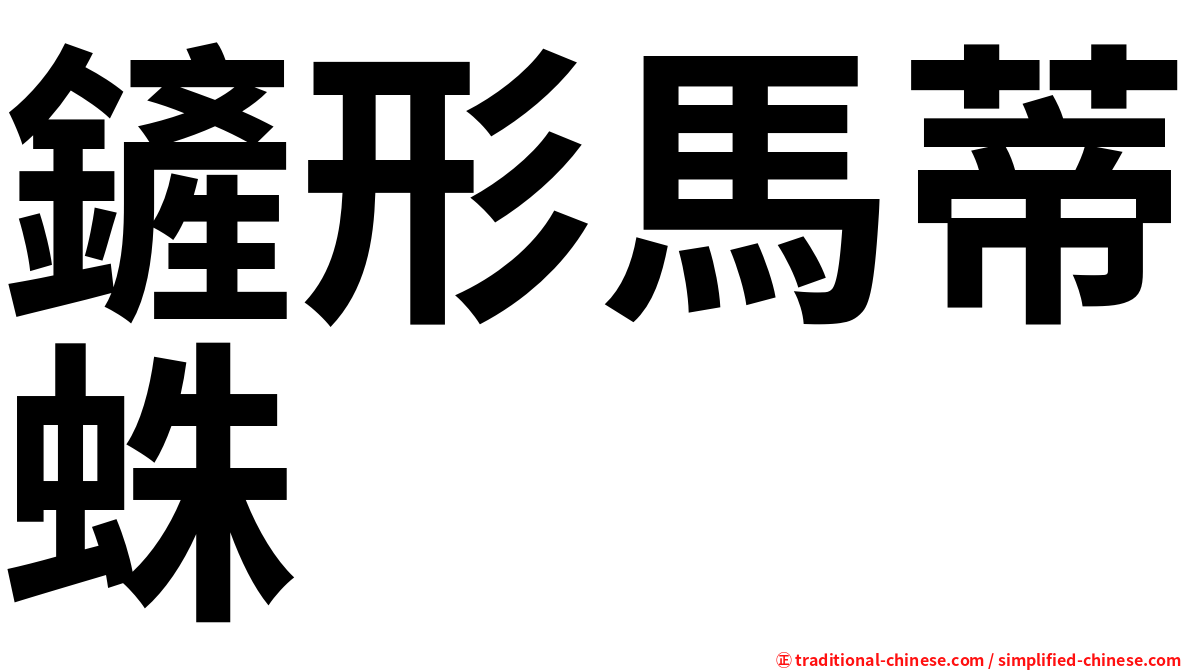鏟形馬蒂蛛