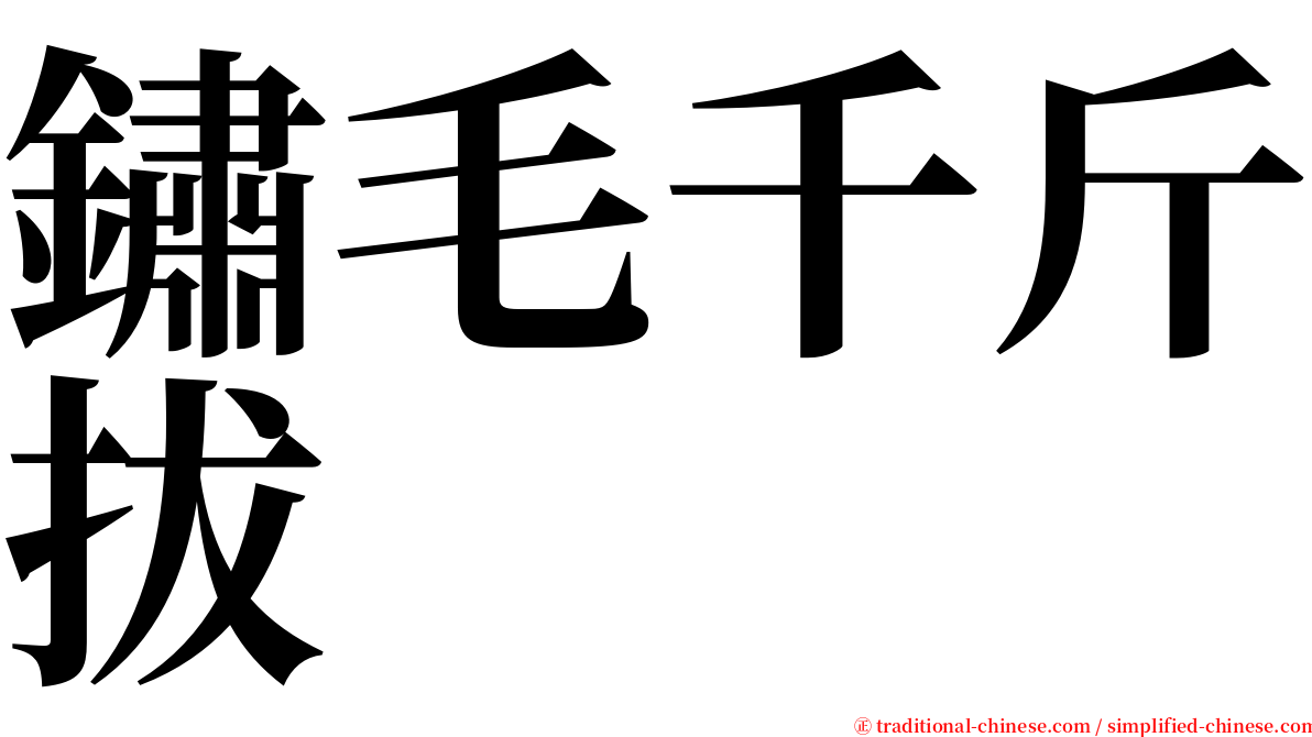 鏽毛千斤拔 serif font