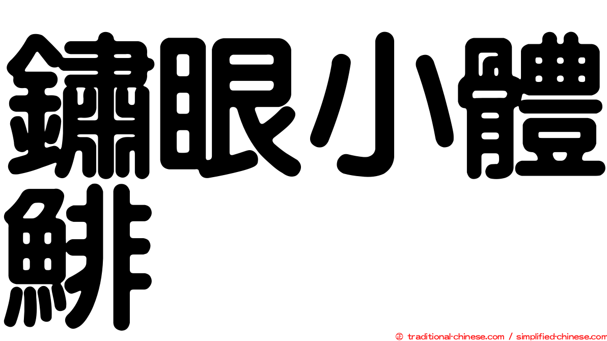 鏽眼小體鯡
