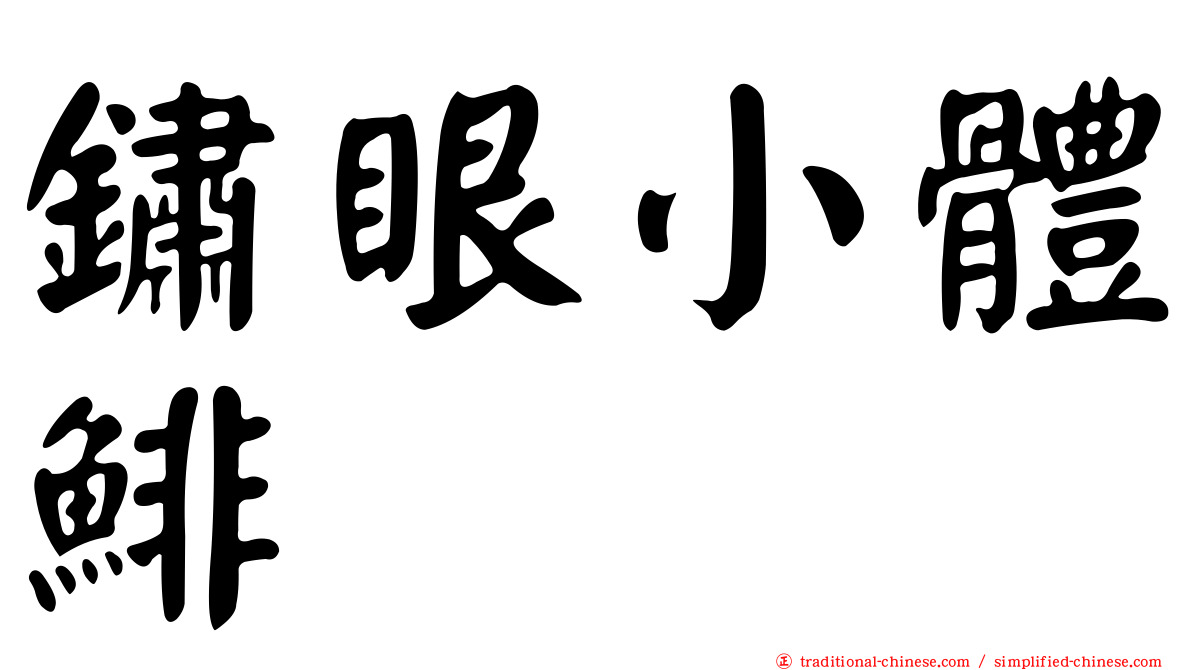 鏽眼小體鯡