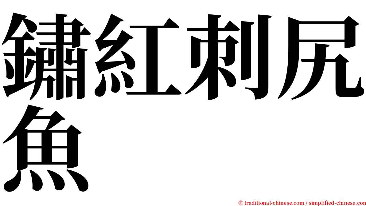 鏽紅刺尻魚 serif font