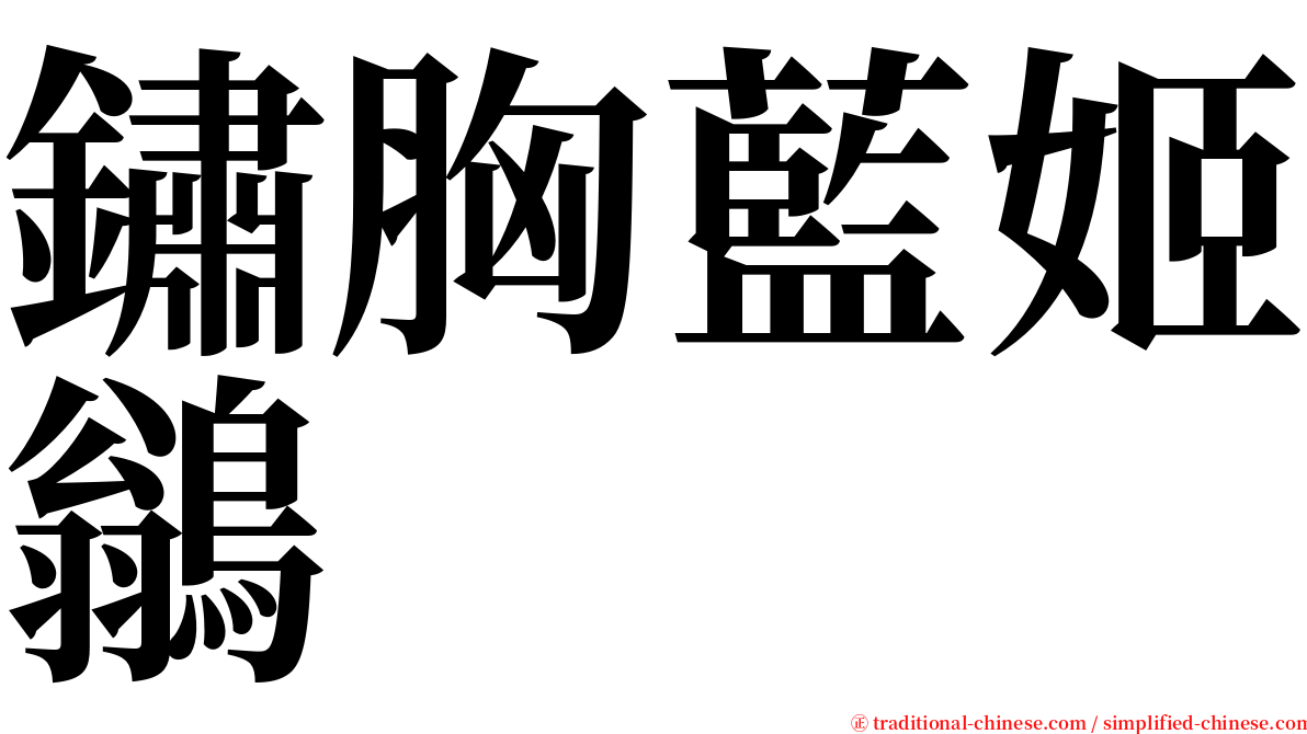 鏽胸藍姬鶲 serif font