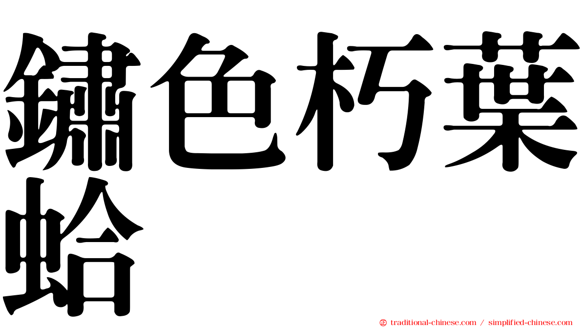鏽色朽葉蛤