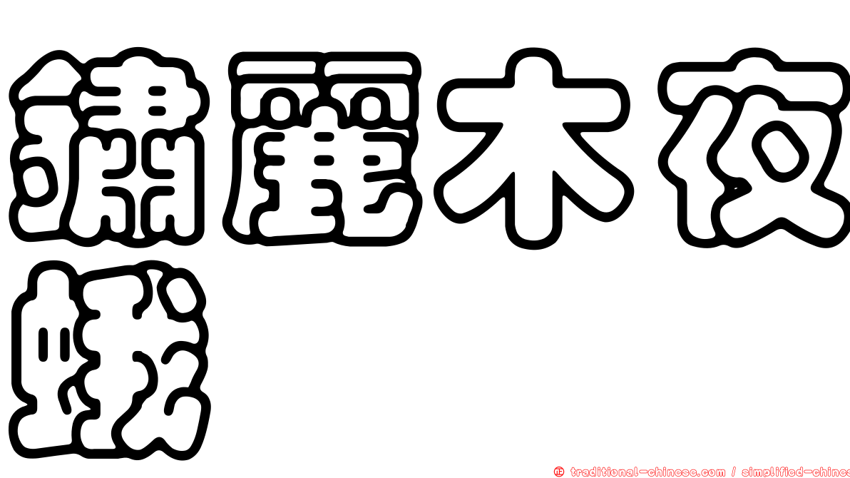 鏽麗木夜蛾