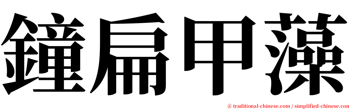 鐘扁甲藻 serif font