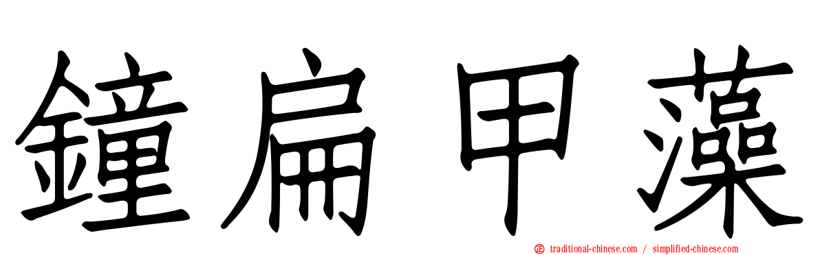 鐘扁甲藻