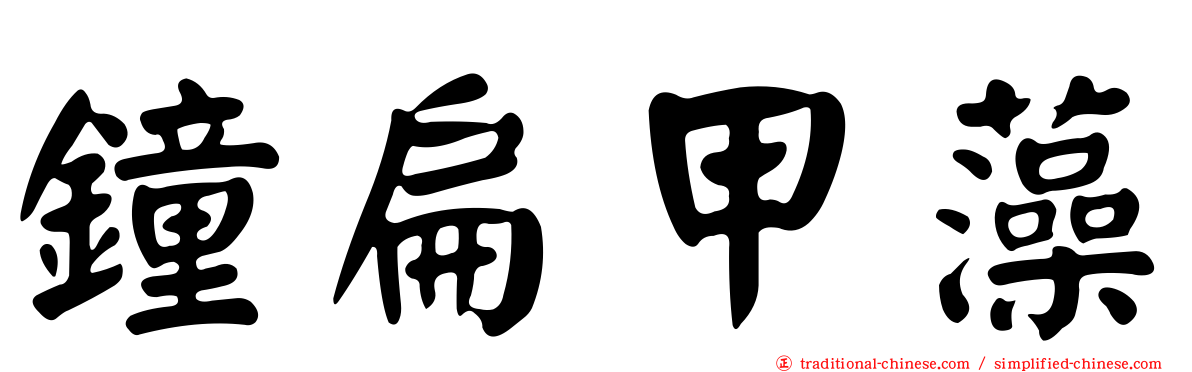 鐘扁甲藻