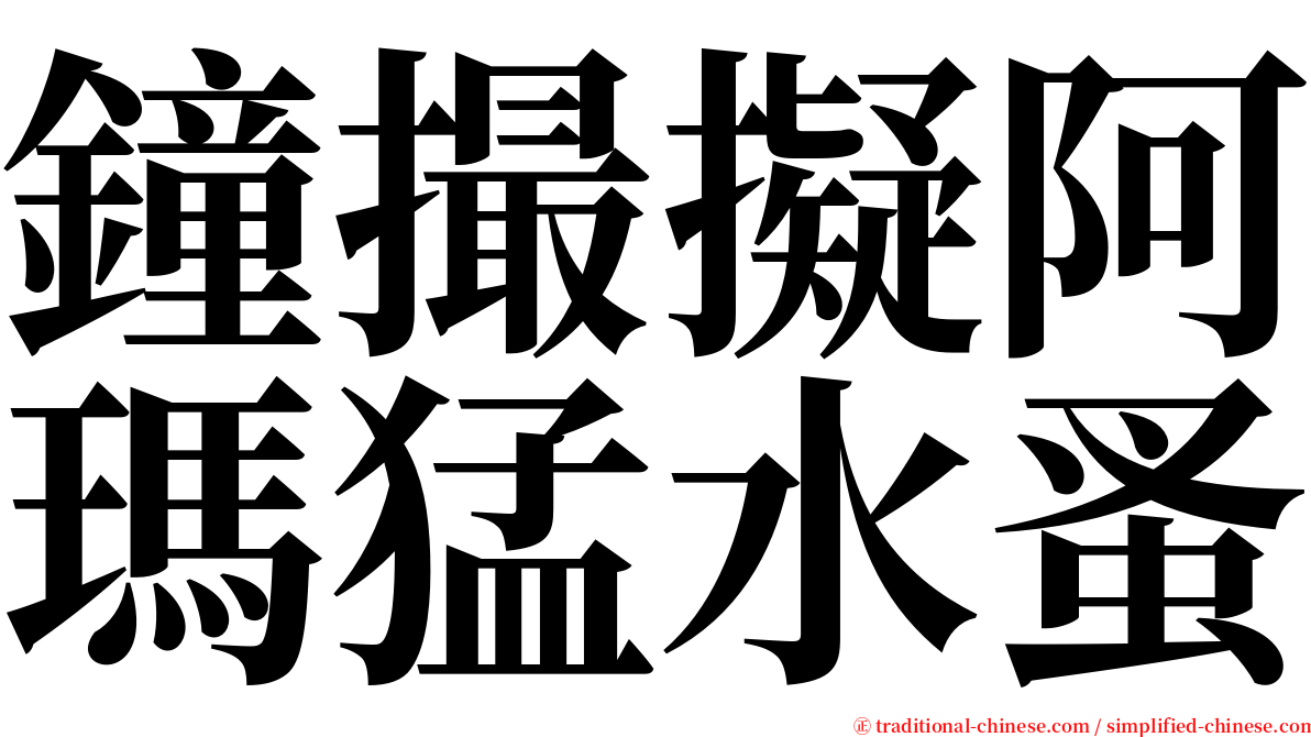 鐘撮擬阿瑪猛水蚤 serif font