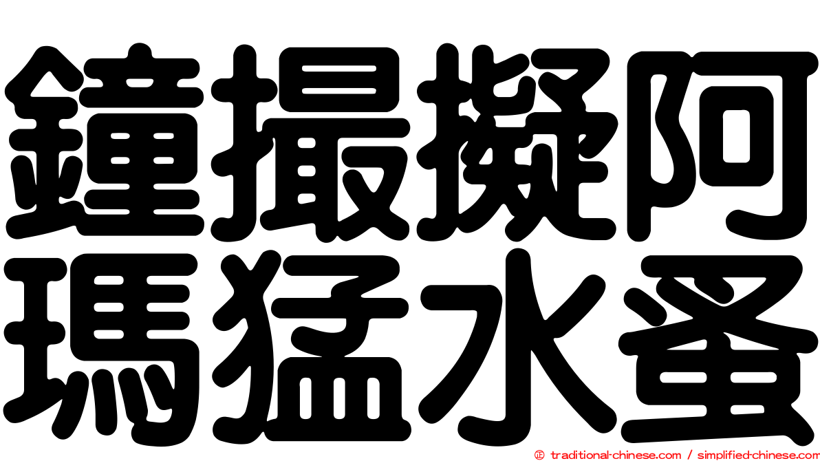 鐘撮擬阿瑪猛水蚤